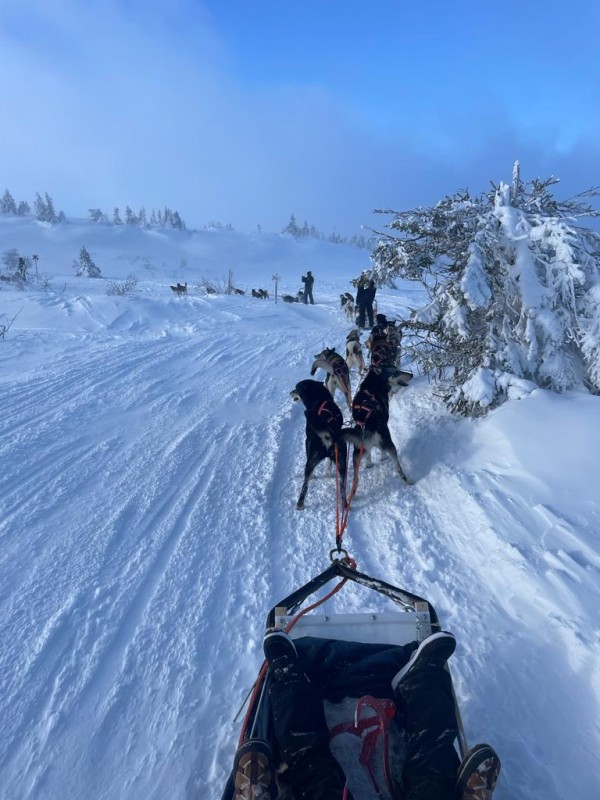 foto 32 impressie ijsdriften in zweden